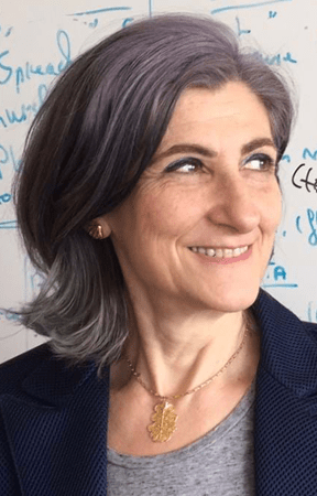 CoChair Raffaella Ocone