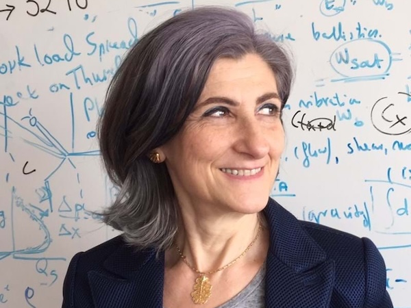 Raffaella Ocone - IChemE - WCCUS Board member