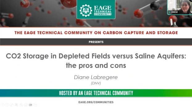 Webinar comparing depleted fields and saline aquifers for CO2 storage with Diane Labregere (DNV)